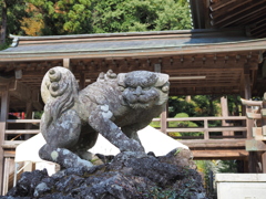 筑波山神社の狛犬