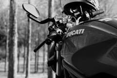 Ducati monster