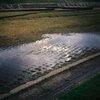 雨上がりの広場