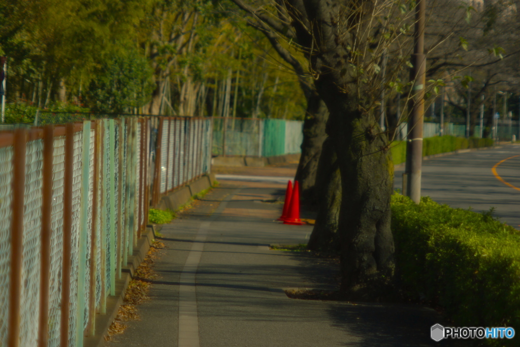 歩道一人占め