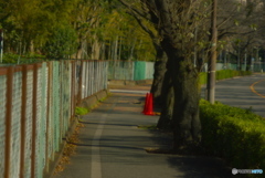 歩道一人占め