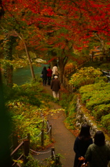 酒造と川、道と彩葉