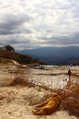 Hierve el agua