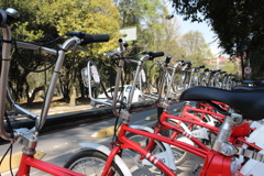 Mi bici