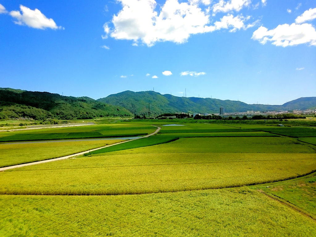 亀岡の田園風景