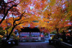 鍬山神社 紅葉