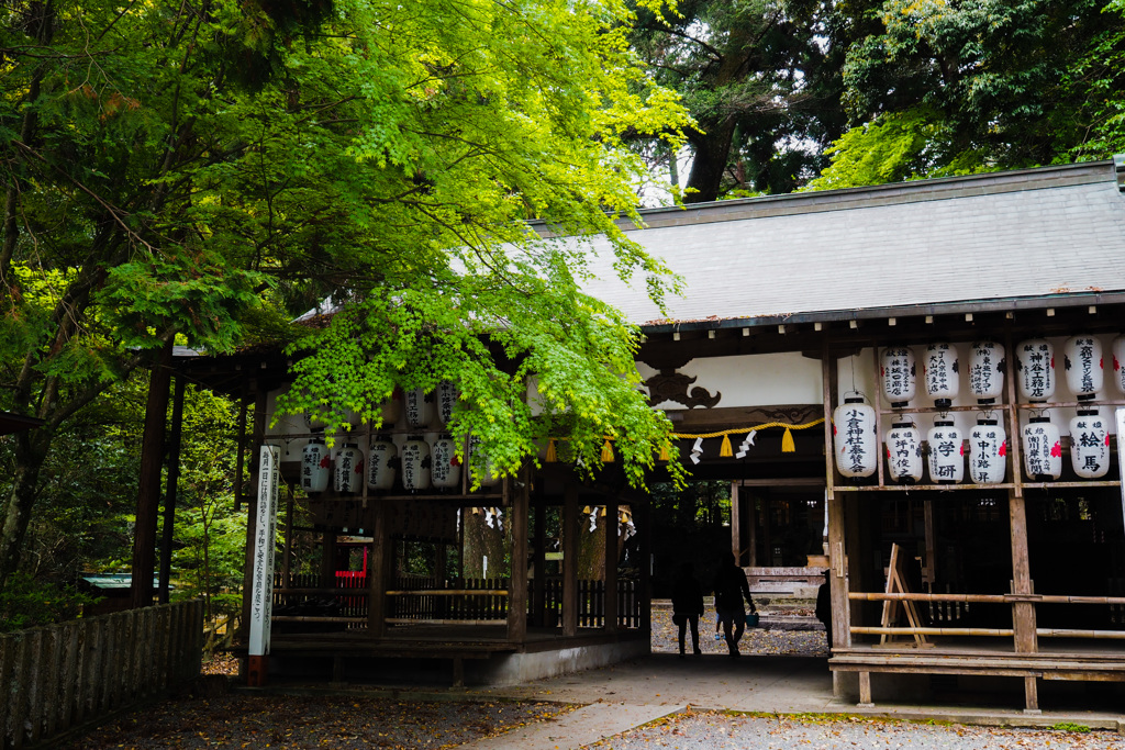 小倉神社　新緑