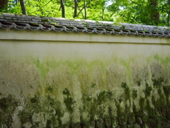 三千院　塀