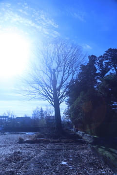 冬景色2