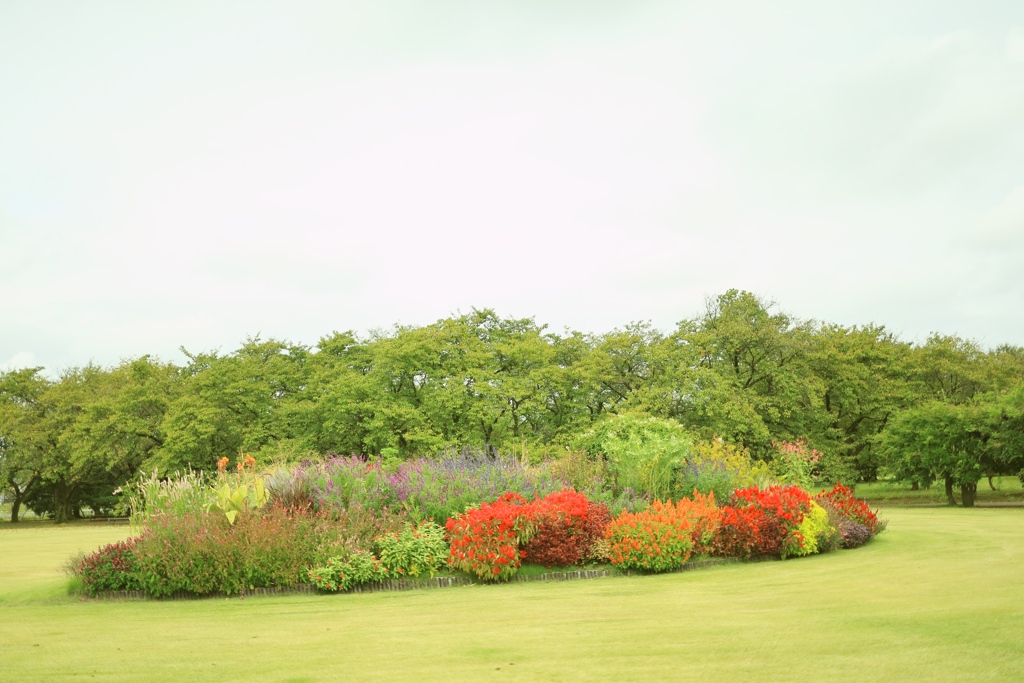 植物園にて