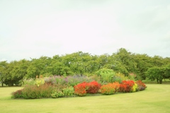 植物園にて