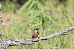 浮いてた 浮いてた