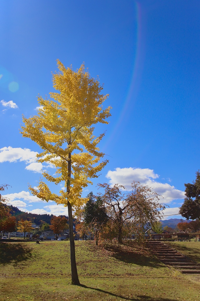 紅よりも黄が好きかも。