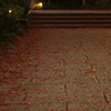 gradation