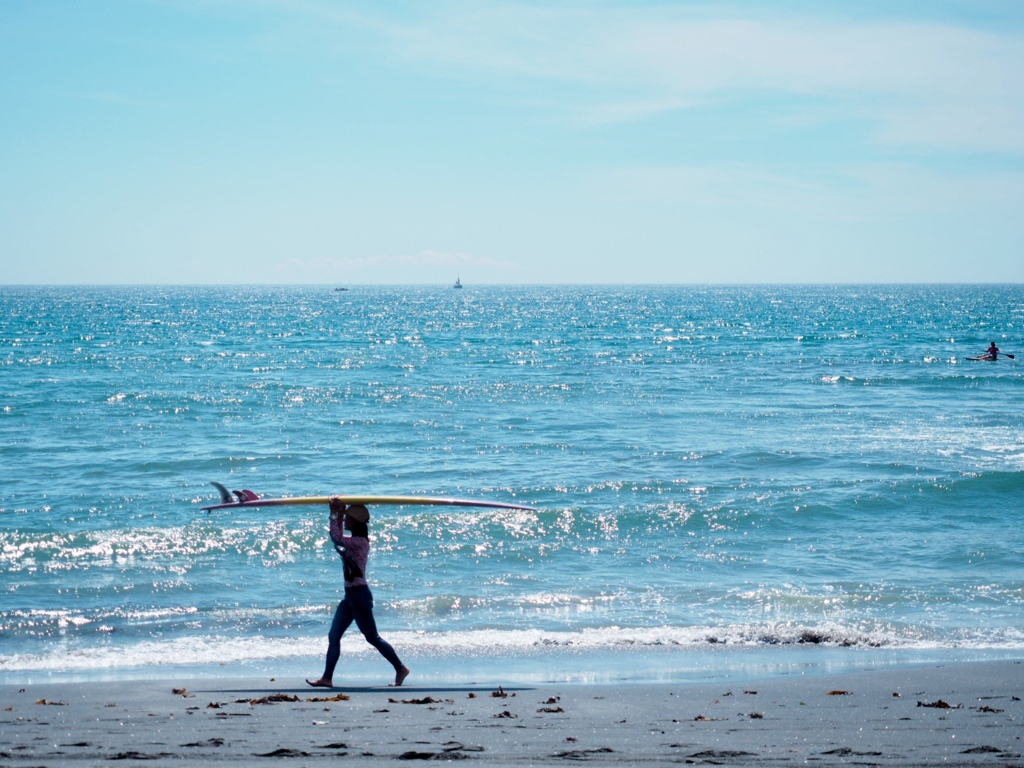 Surfer Girl