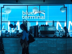 blue terminal