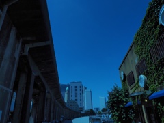 ハマ散歩