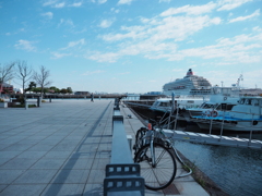 朝さんぽ