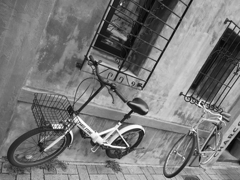 ビルと自転車