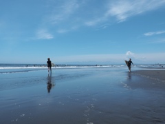 鵠沼海岸