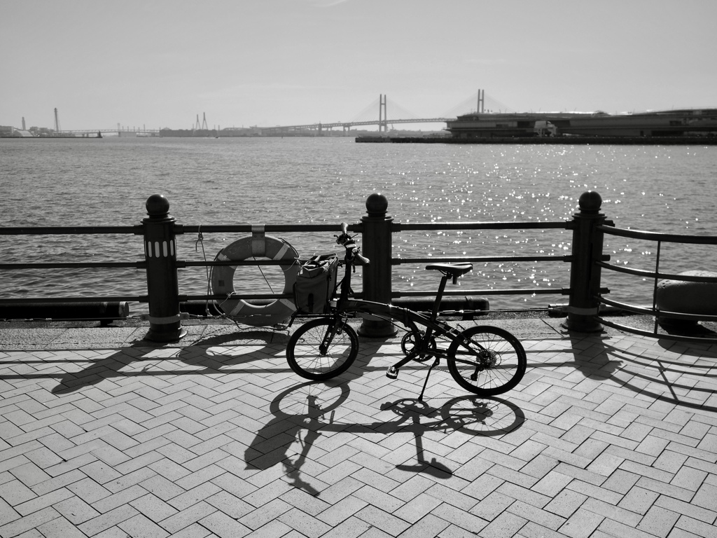 海と自転車