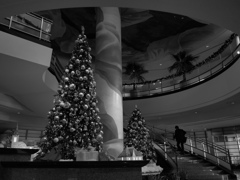 街はクリスマスモード