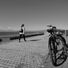 鵠沼海岸