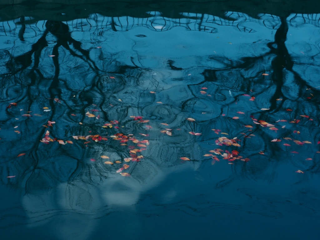 川面に過ぎゆく秋