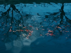 川面に過ぎゆく秋