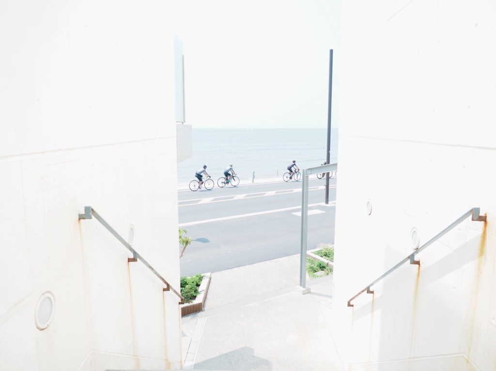 海岸線を走る
