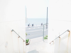 海岸線を走る
