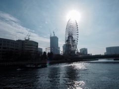 ハマの香り