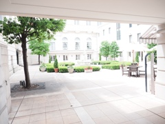 中庭