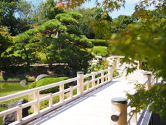 日本庭園  参
