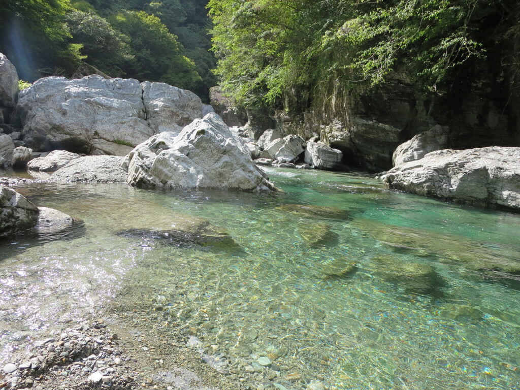 仁淀川②