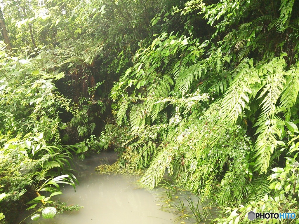 雨上がり