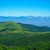 夏の山