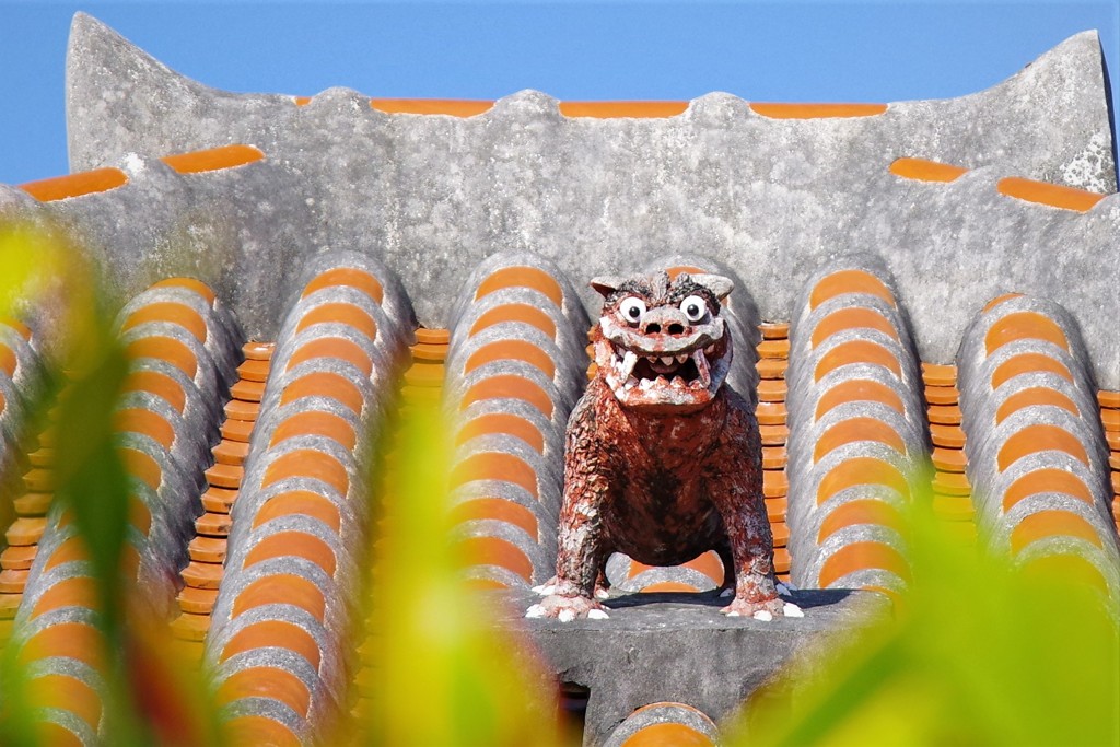 島旅-17