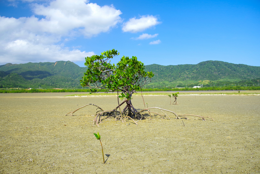 島旅-3