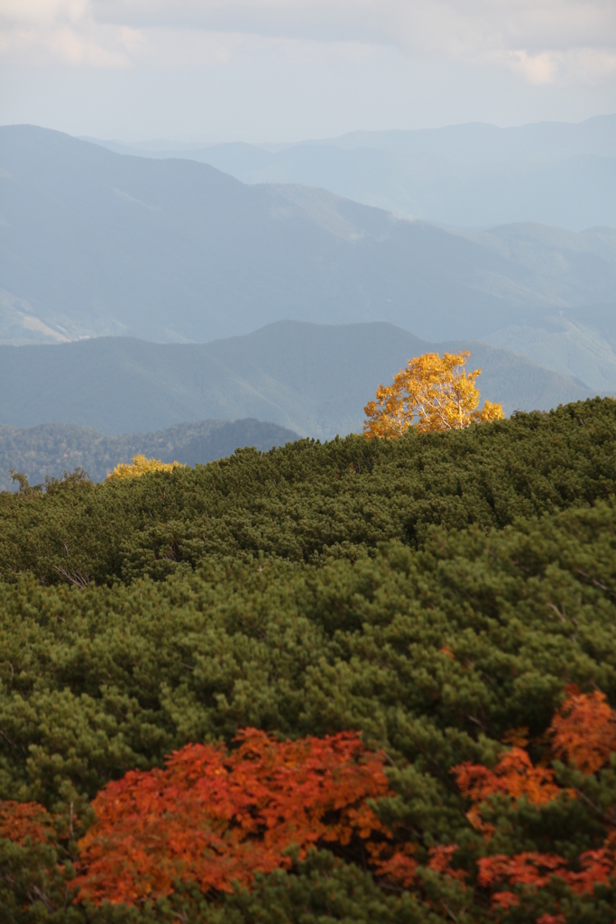 6C40401B-B4EE-4BCA-908A-5575DC03AEAE