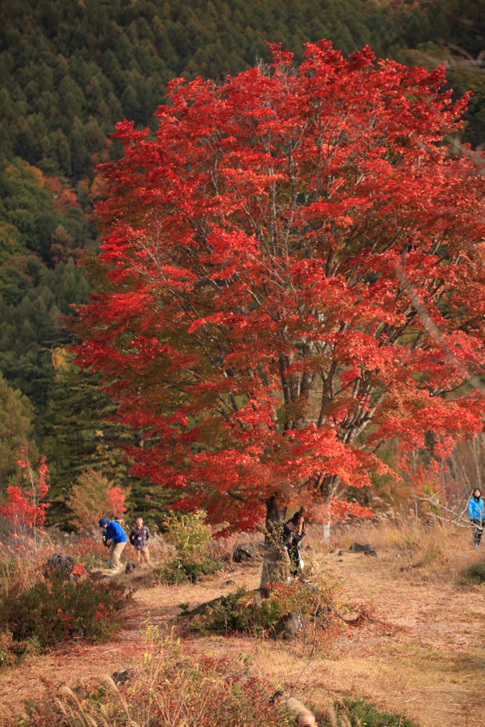 5A850795-DCB4-40D9-82F2-28FE2F897DD1