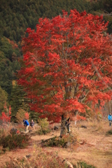 5A850795-DCB4-40D9-82F2-28FE2F897DD1