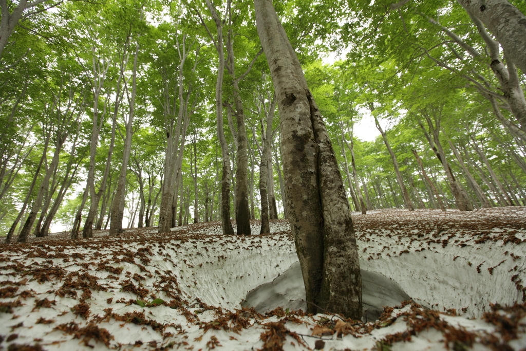 78842347-485F-4E69-AAE4-76A6E033760A