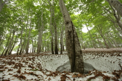 78842347-485F-4E69-AAE4-76A6E033760A