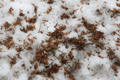 E1DAA1F1-0242-4FD1-AE26-6F9E0A08564F