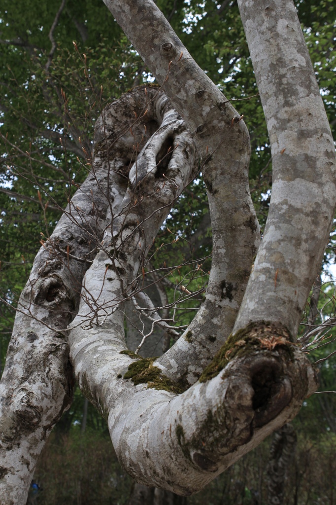 81ECA525-35DC-4EEE-B567-07AB1E5F96B2