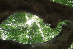 3C0F830A-6447-4115-BF97-CCCFF316AE95