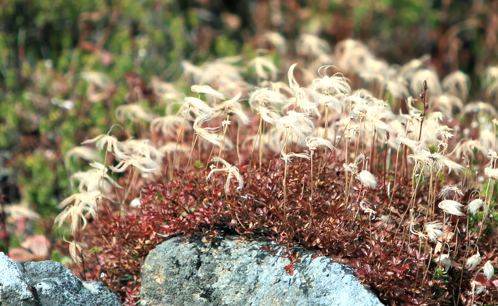 A8B60A13-65B5-475A-9118-55FBFD27B0E8