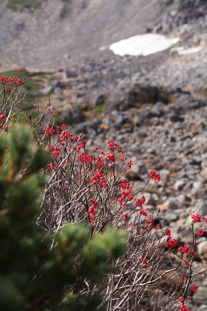 3FD6902E-6447-4D9E-8E9F-4273879A9AAC