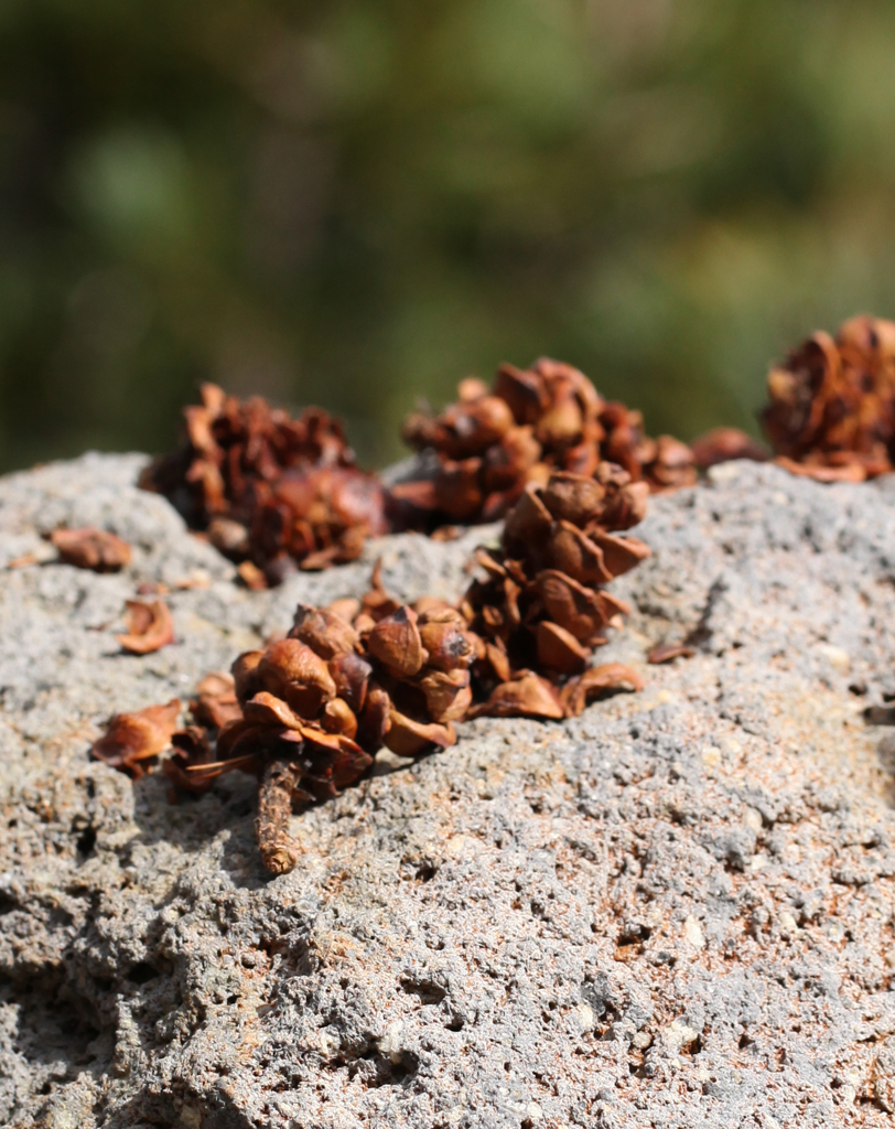 A5345EE7-36EC-44DD-B97B-31FBF53E0A3E